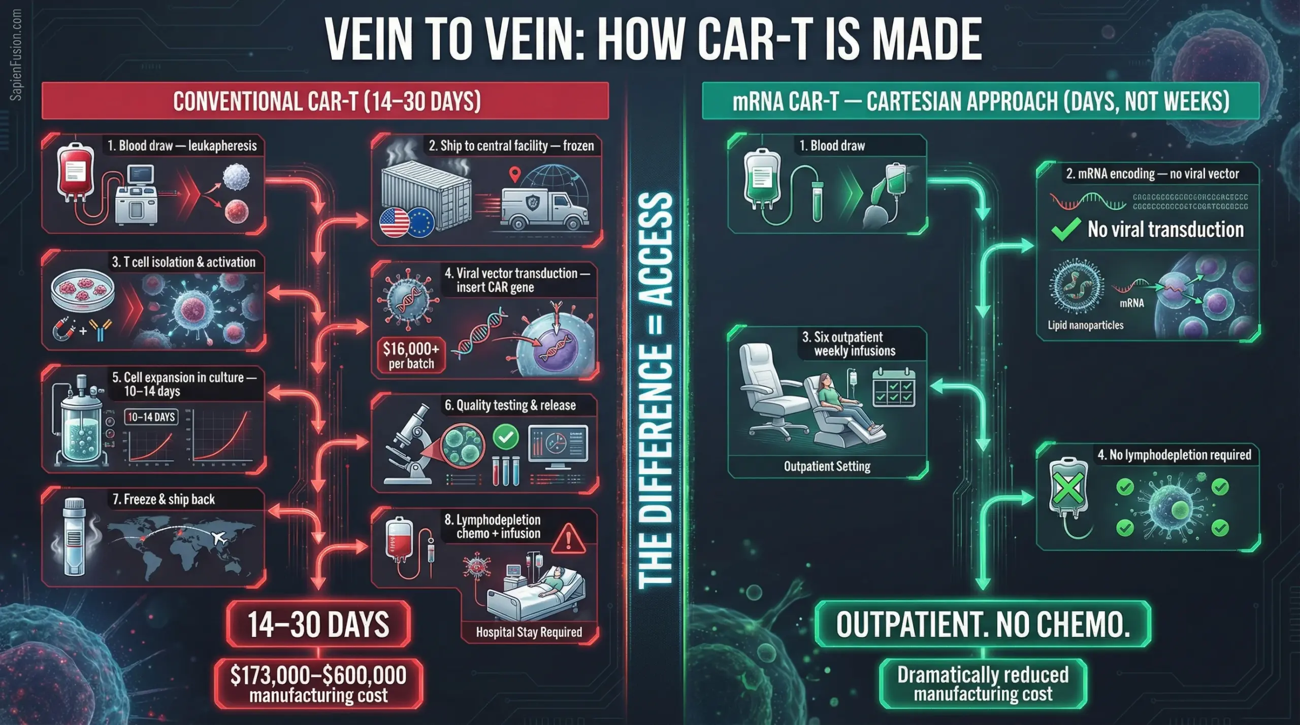 Step-by-step vein-to-vein CAR-T manufacturing process showing 14–30 day timeline from patient blood draw through leukapheresis, T cell engineering, quality testing, and reinfusion